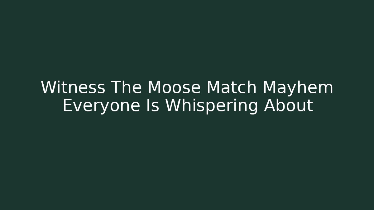 Witness The Moose Match Mayhem Everyone Is Whispering About