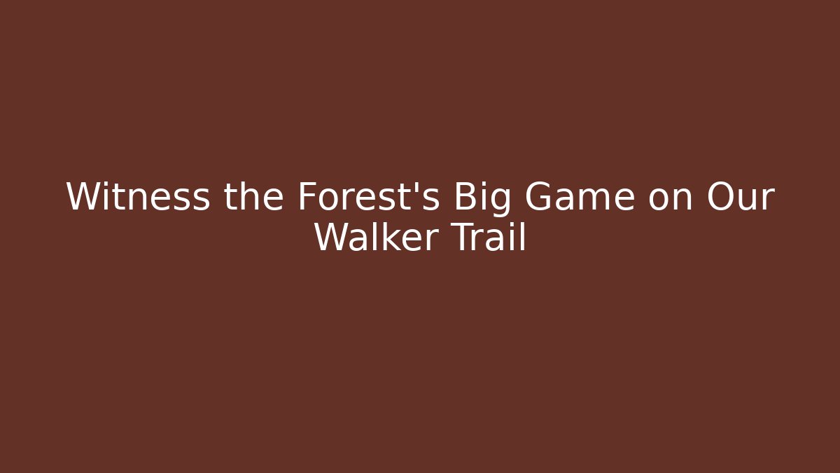 Witness the Forest's Big Game on Our Walker Trail