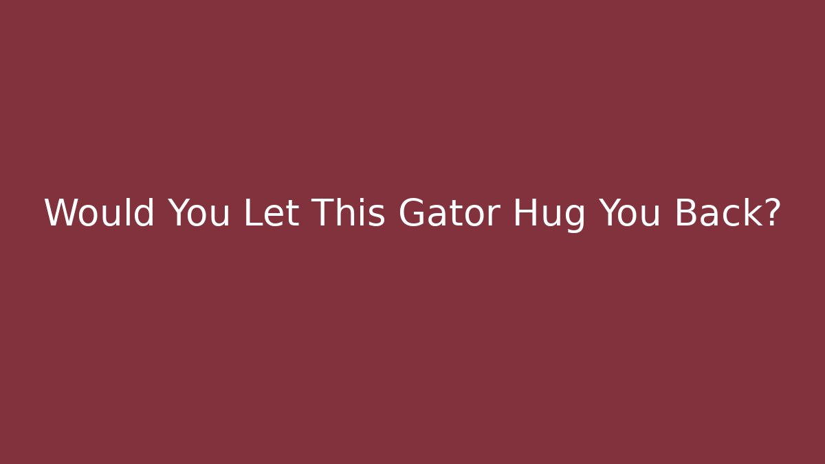 Would You Let This Gator Hug You Back?