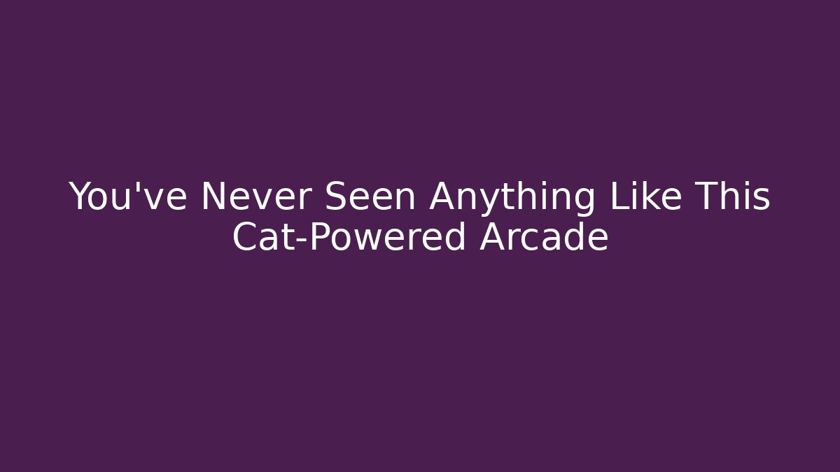 You've Never Seen Anything Like This Cat-Powered Arcade