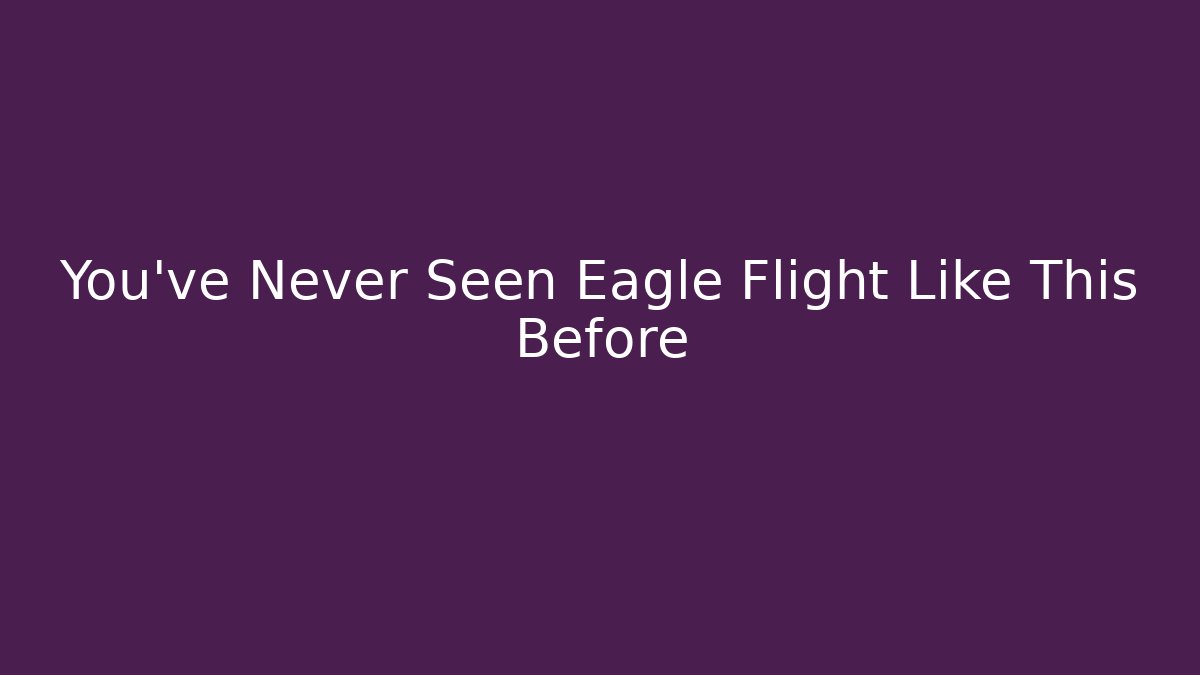 You've Never Seen Eagle Flight Like This Before - Critter Realm