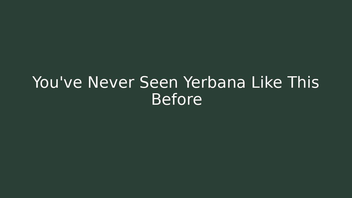 You've Never Seen Yerbana Like This Before