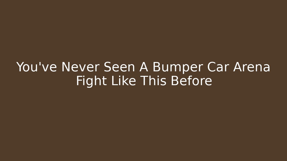 You’ve Never Seen A Bumper Car Arena Fight Like This Before