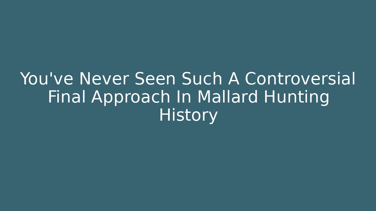 You’ve Never Seen Such A Controversial Final Approach In Mallard Hunting History