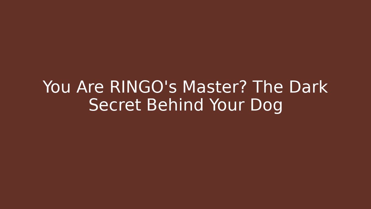 You Are RINGO's Master? The Dark Secret Behind Your Dog