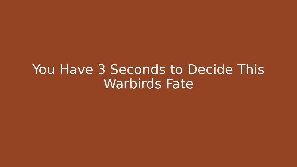 You Have 3 Seconds to Decide This Warbirds Fate