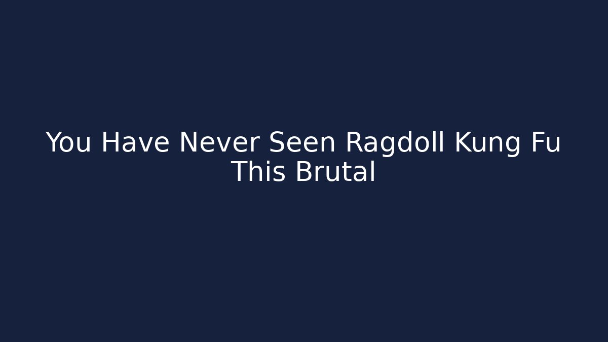 You Have Never Seen Ragdoll Kung Fu This Brutal