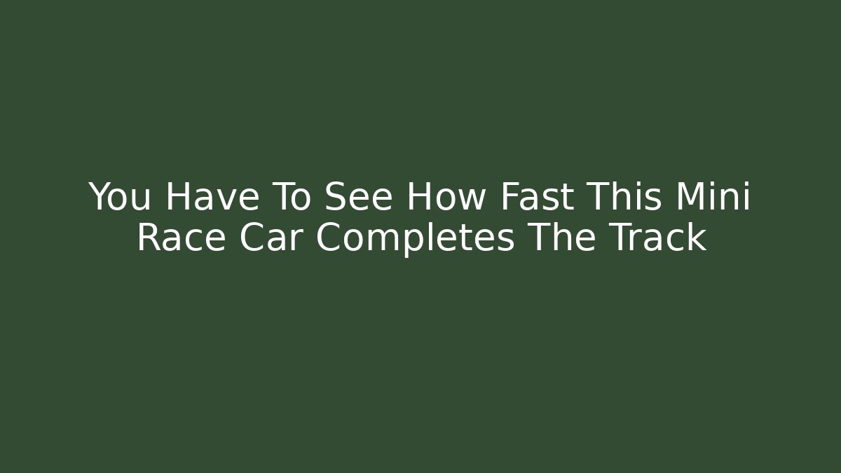 You Have To See How Fast This Mini Race Car Completes The Track - Critter Realm