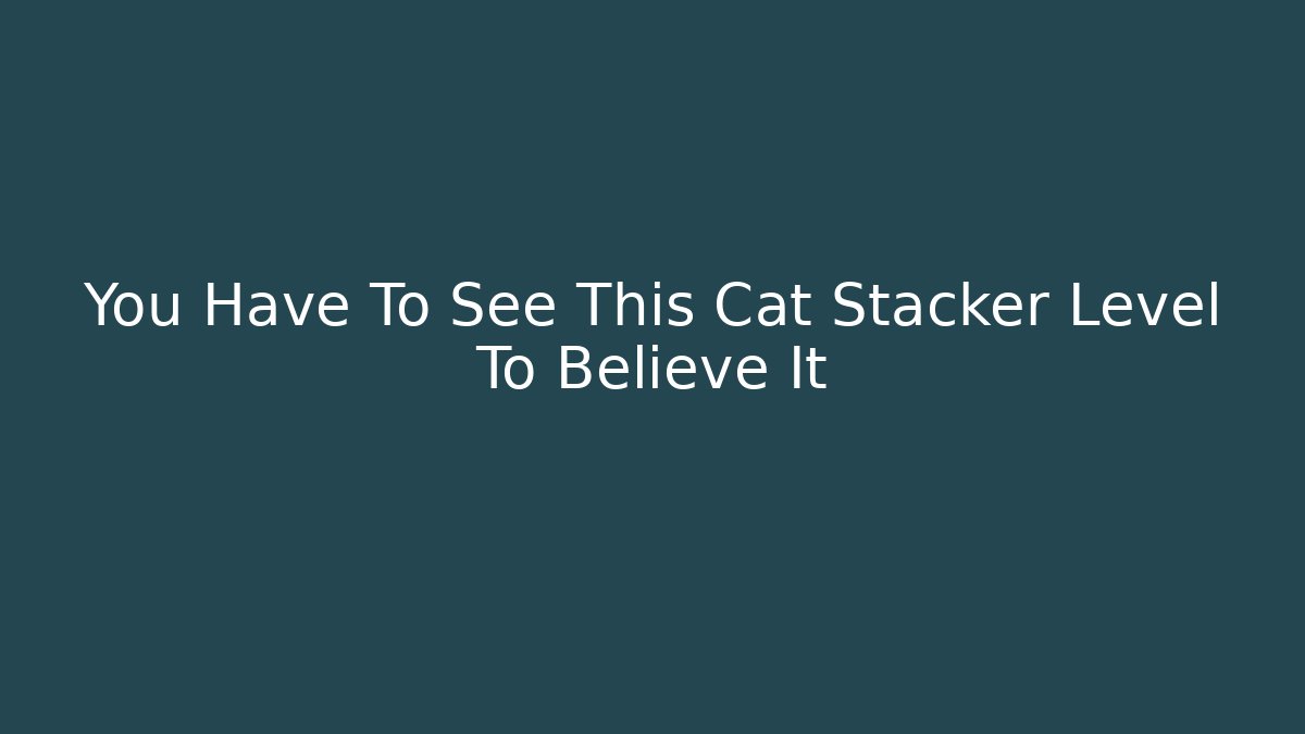 You Have To See This Cat Stacker Level To Believe It