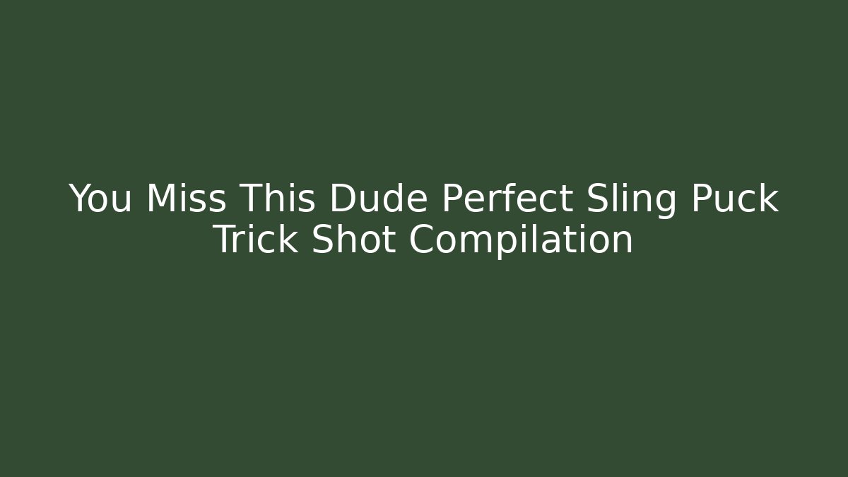 You Miss This Dude Perfect Sling Puck Trick Shot Compilation - Critter Realm