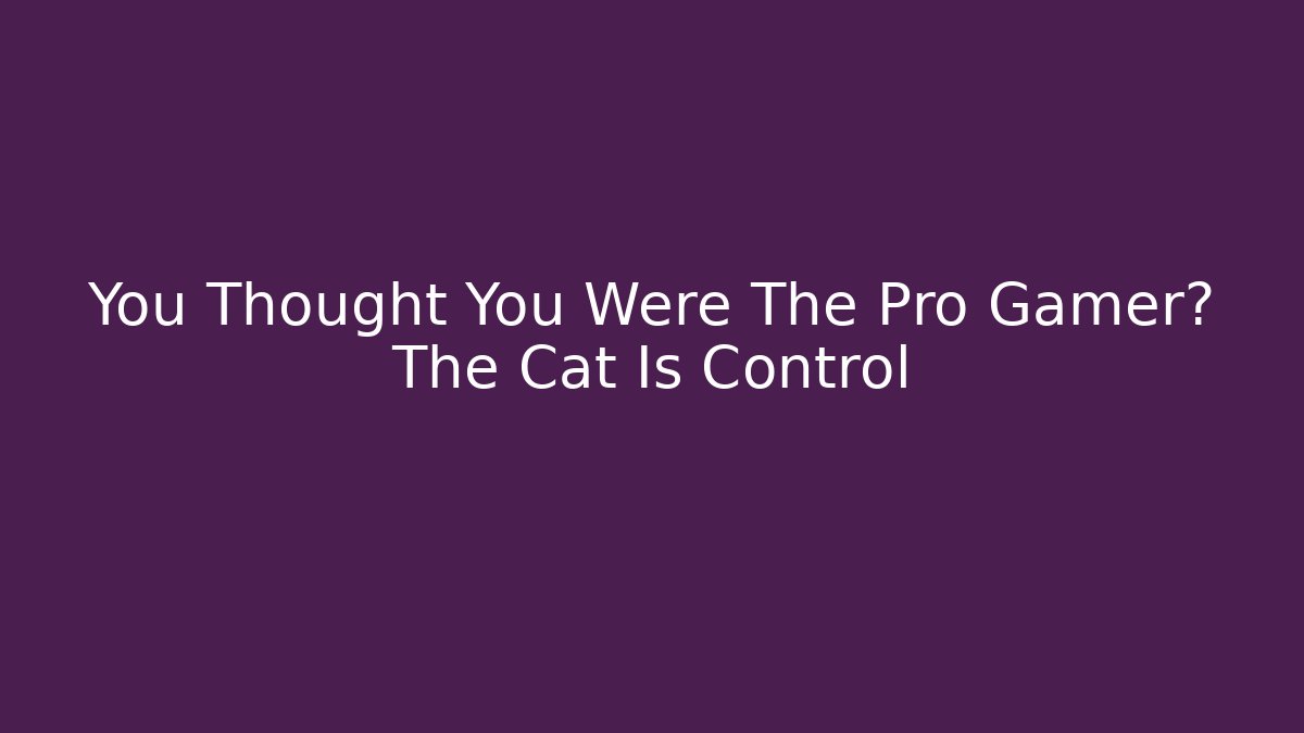 You Thought You Were The Pro Gamer? The Cat Is Control