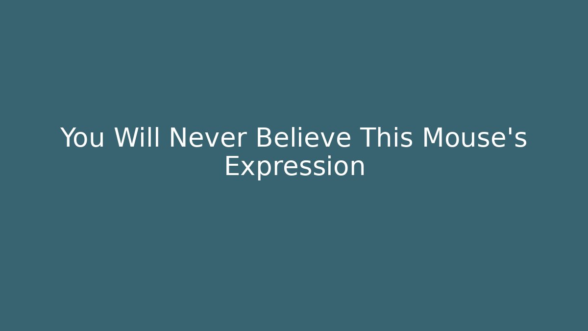 You Will Never Believe This Mouse's Expression