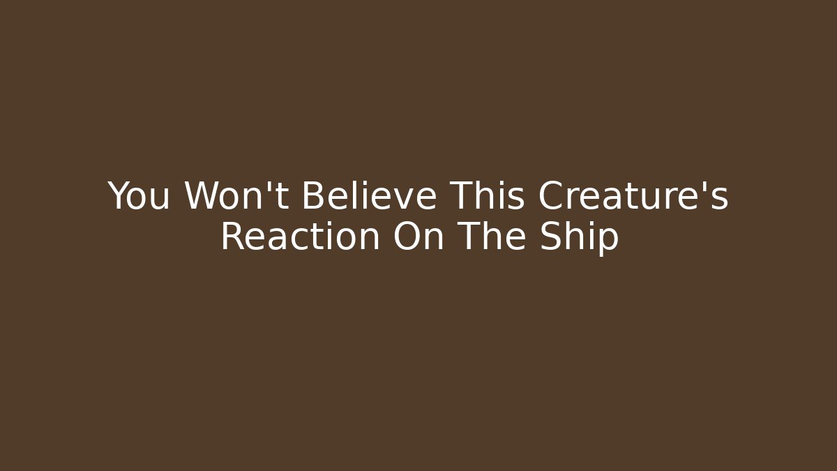 You Won't Believe This Creature's Reaction On The Ship