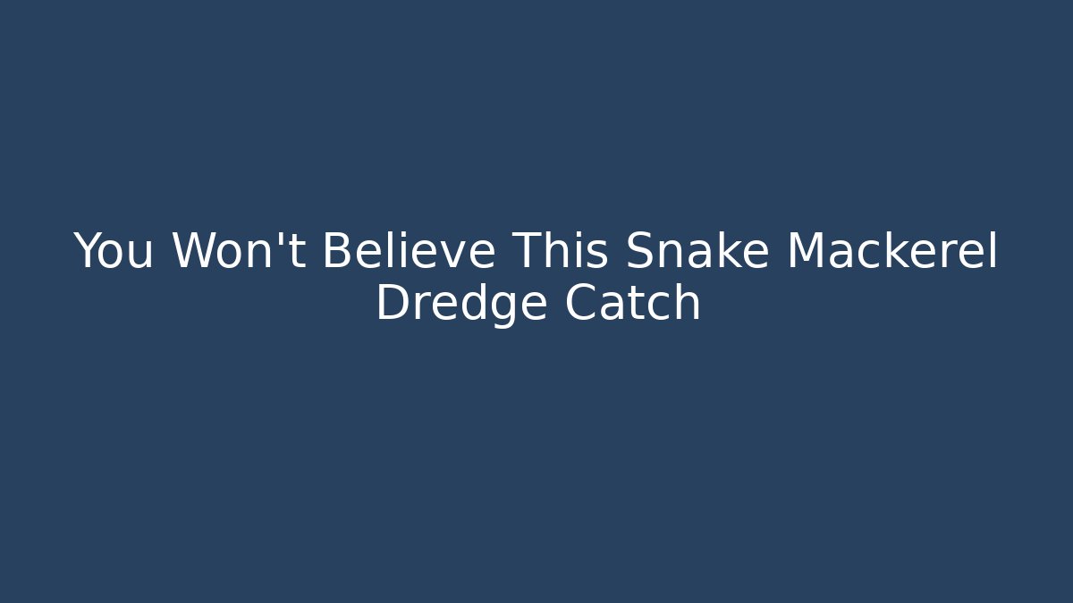 You Won't Believe This Snake Mackerel Dredge Catch - Critter Realm