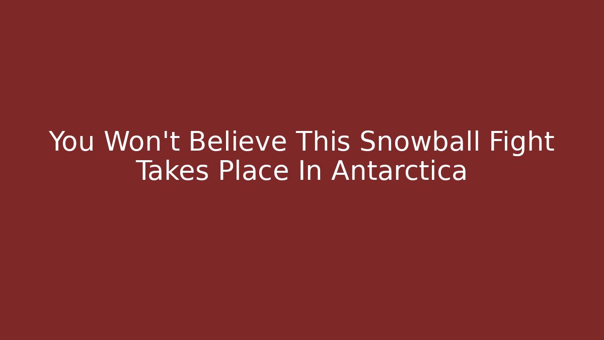 You Won't Believe This Snowball Fight Takes Place In Antarctica