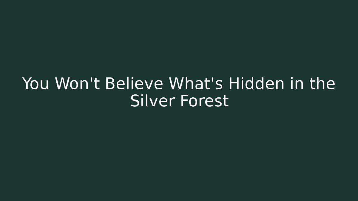 You Won't Believe What's Hidden in the Silver Forest