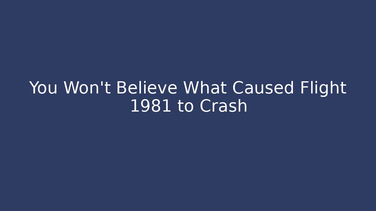 You Won't Believe What Caused Flight 1981 to Crash