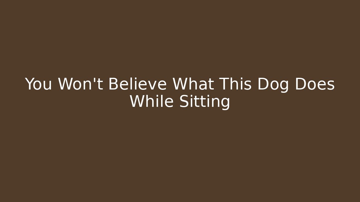 You Won't Believe What This Dog Does While Sitting