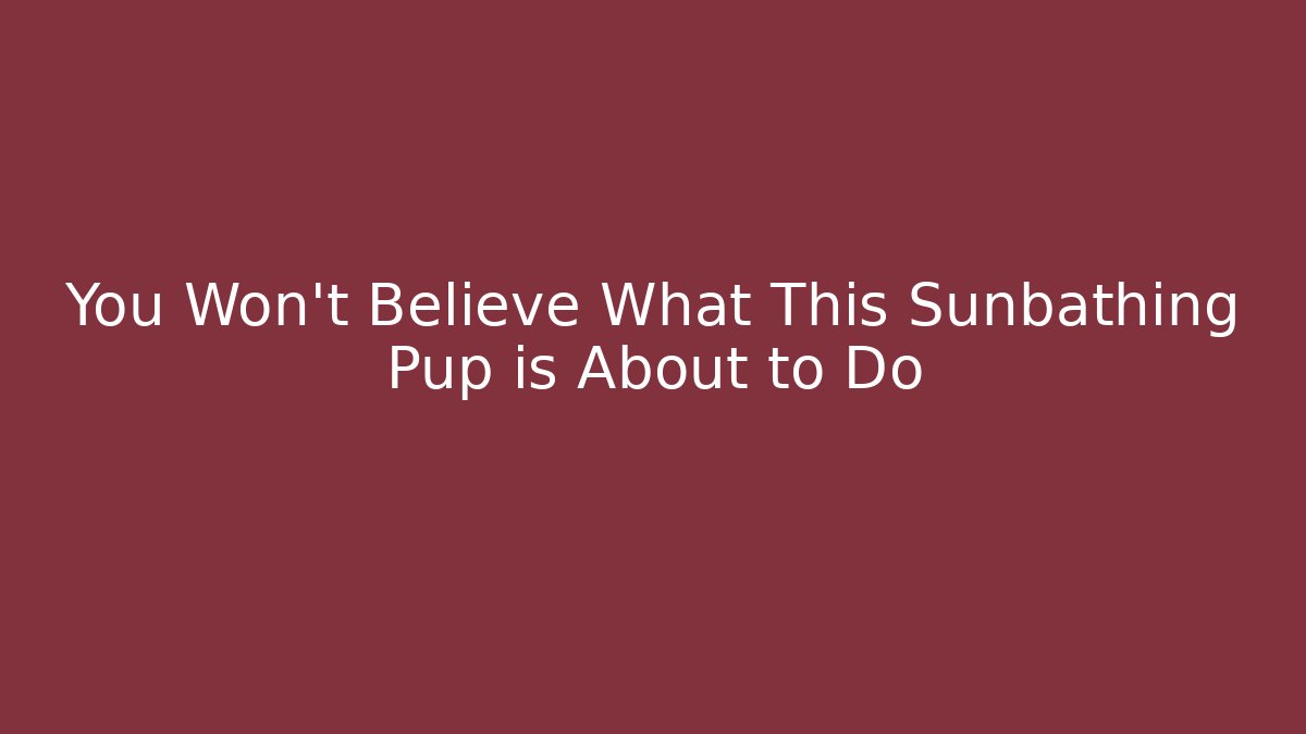 You Won't Believe What This Sunbathing Pup is About to Do