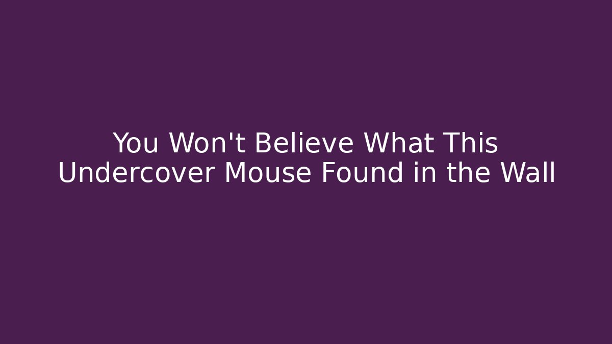 You Won't Believe What This Undercover Mouse Found in the Wall