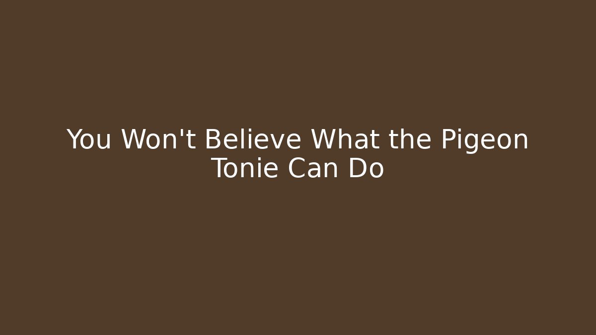 You Won't Believe What the Pigeon Tonie Can Do