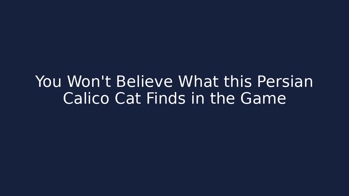 You Won't Believe What this Persian Calico Cat Finds in the Game