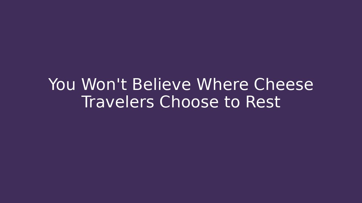 You Won't Believe Where Cheese Travelers Choose to Rest