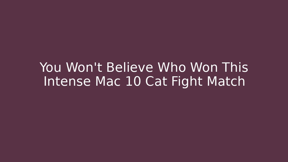 You Won't Believe Who Won This Intense Mac 10 Cat Fight Match