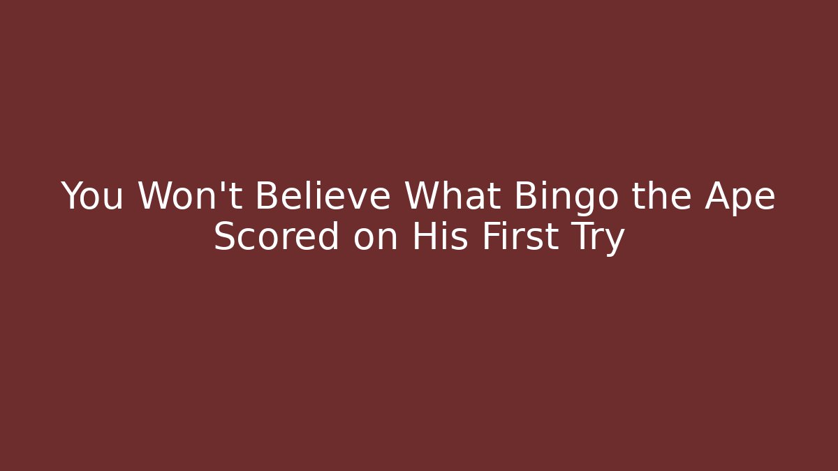 You Won’t Believe What Bingo the Ape Scored on His First Try