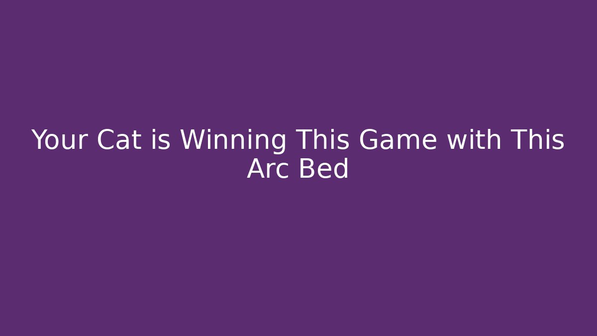 Your Cat is Winning This Game with This Arc Bed - Critter Realm