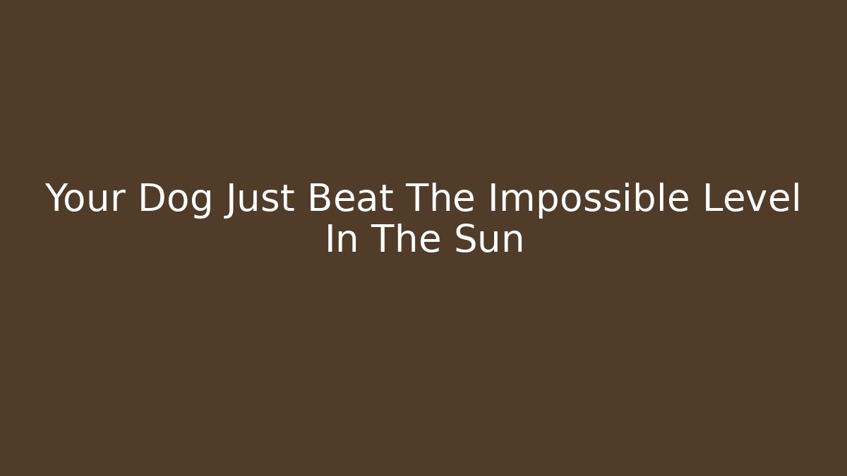 Your Dog Just Beat The Impossible Level In The Sun