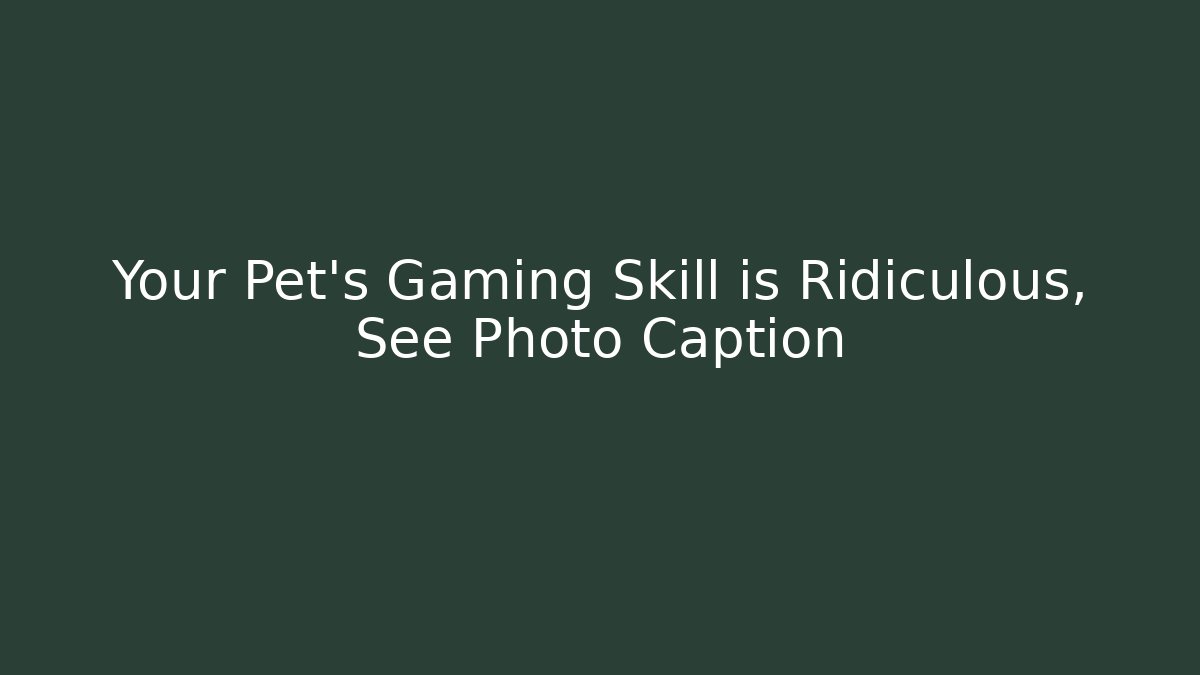 Your Pet's Gaming Skill is Ridiculous, See Photo Caption