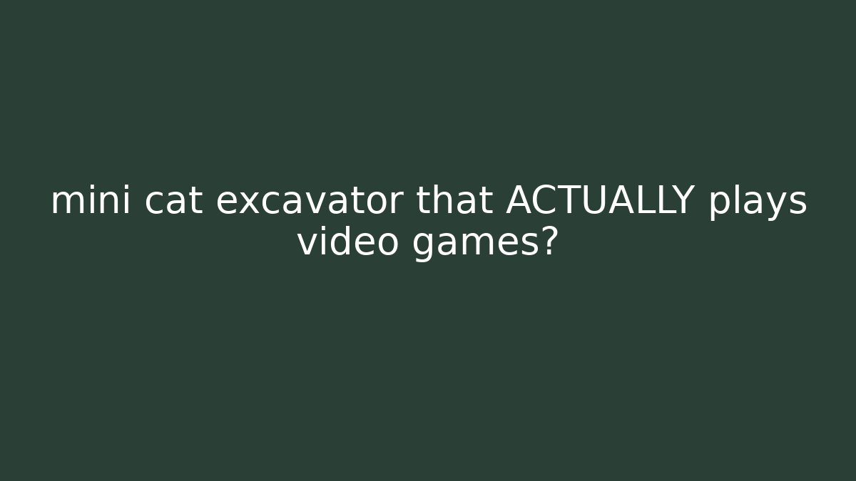 mini cat excavator that ACTUALLY plays video games? - Critter Realm